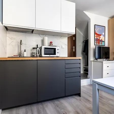 Apartment Golden - Cozy Studio Warsaw