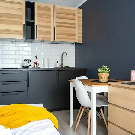 Apartment Golden - Cozy Studio Warsaw